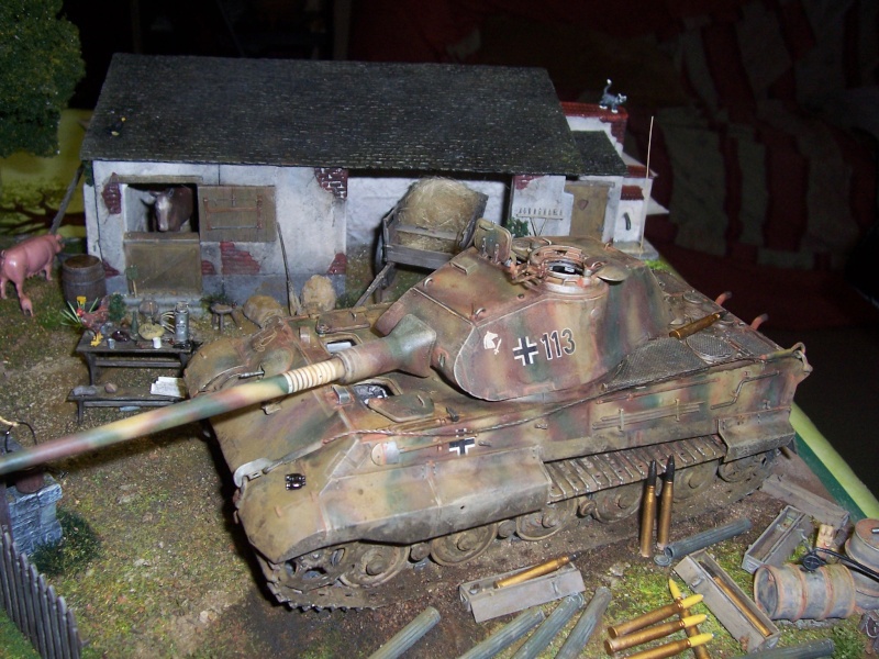 un tigre à la campagne 1/35 - Page 4 Montag78