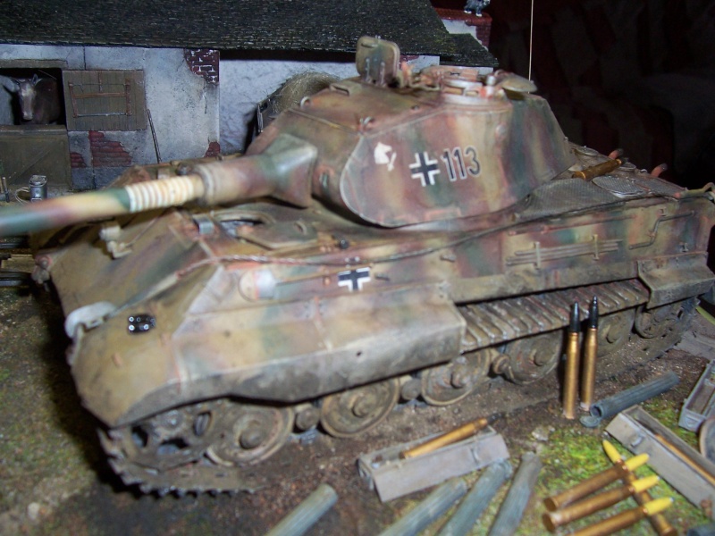 un tigre à la campagne 1/35 - Page 4 Montag80