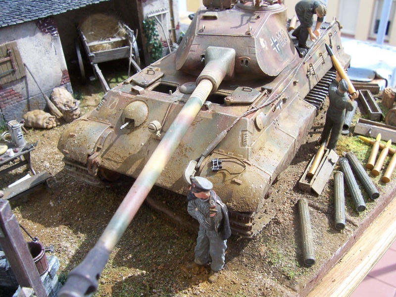 un tigre à la campagne 1/35 - Page 4 Montag81