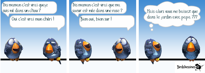 A découvrir absolument pour se remonter le moral  :P  - Page 5 Bird510