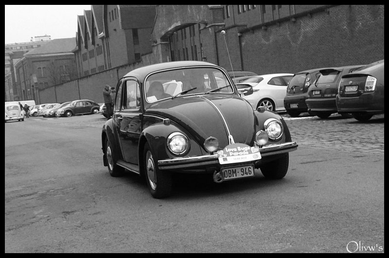 Love bugs parade 2012 Love-116