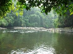 Obudu Cattle Ranch Obudu310