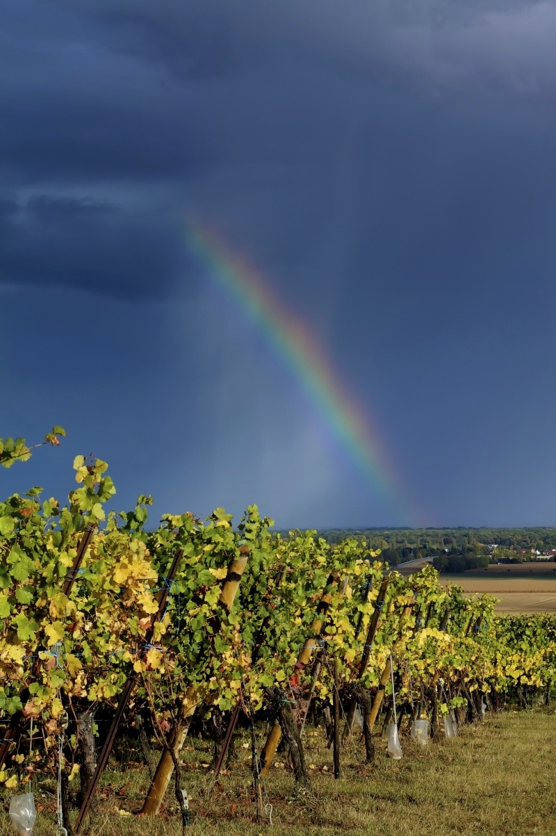 Avant l'orage... Orage210