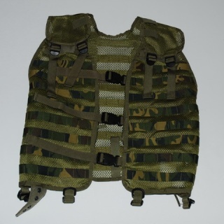 =Vest Molle DPM UK de chez Pointman= 12976610