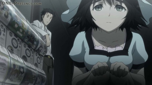 Steins Gate Stein-11