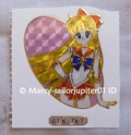Ma collection Sailor Moon - Pin's/Cartes/Goodies 21/04/2012 - Page 5 P1130315