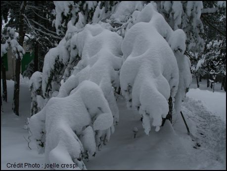 Des chutes de neige exceptionnelles dans le nord du Japon 2m40 en 72 heures Captur49
