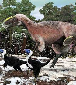 Découverte d’un cousin du T.rex doté de plumes Vue-d-11