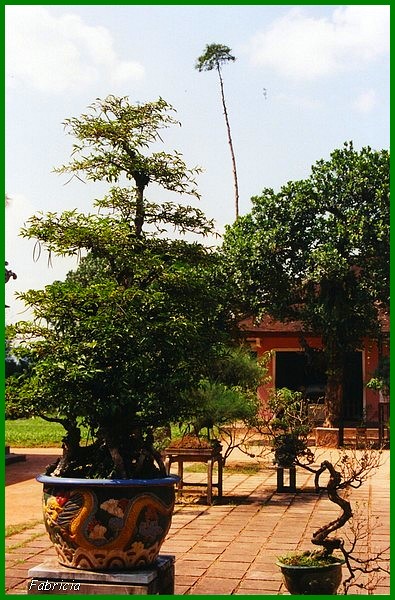 Photos de jardins, parcs, forêts... dans le monde - Page 3 Jardin10