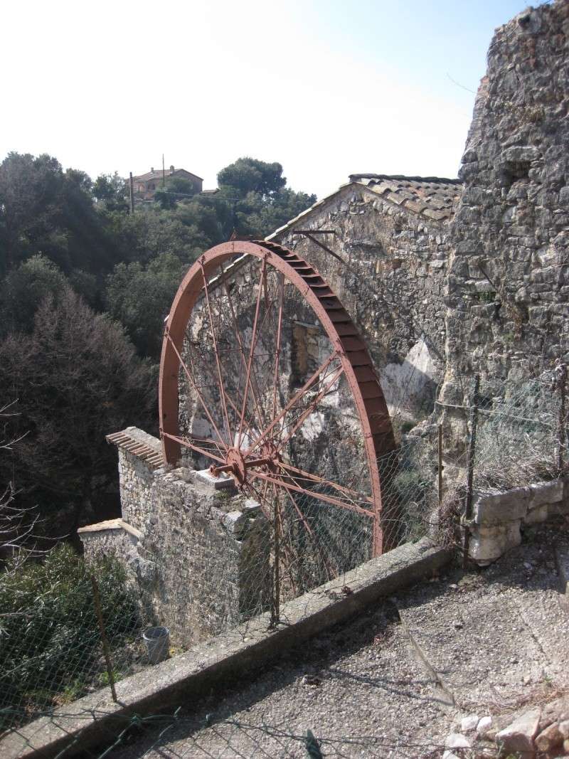 Festa delle Violette a Tourrettes sur Loup Img_2710