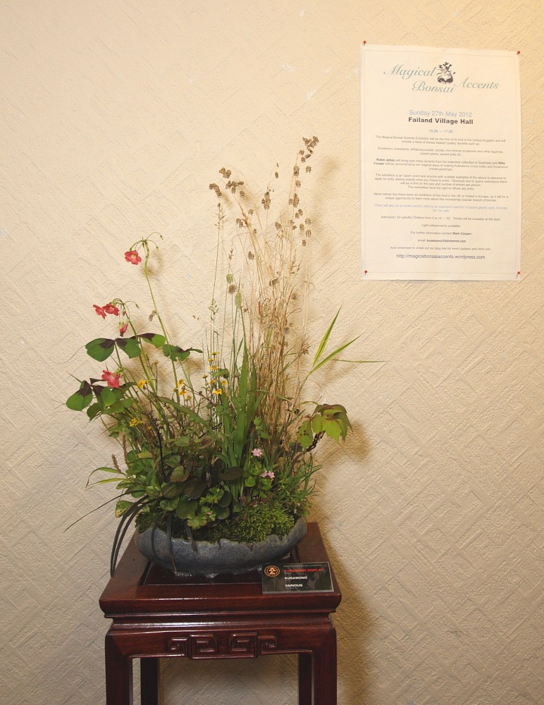 BRISTOL BONSAI SOCIETY'S SHOW, AUGUST 2011 - a photo report Kusamo11