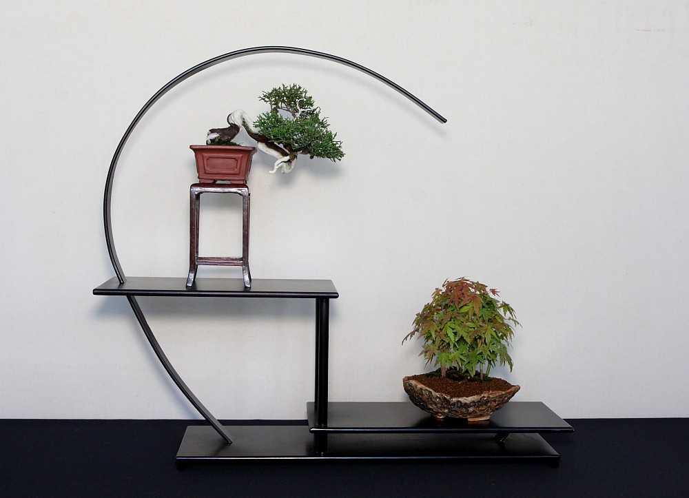 BRISTOL BONSAI SOCIETY'S SHOW, AUGUST 2011 - a photo report Shohin14