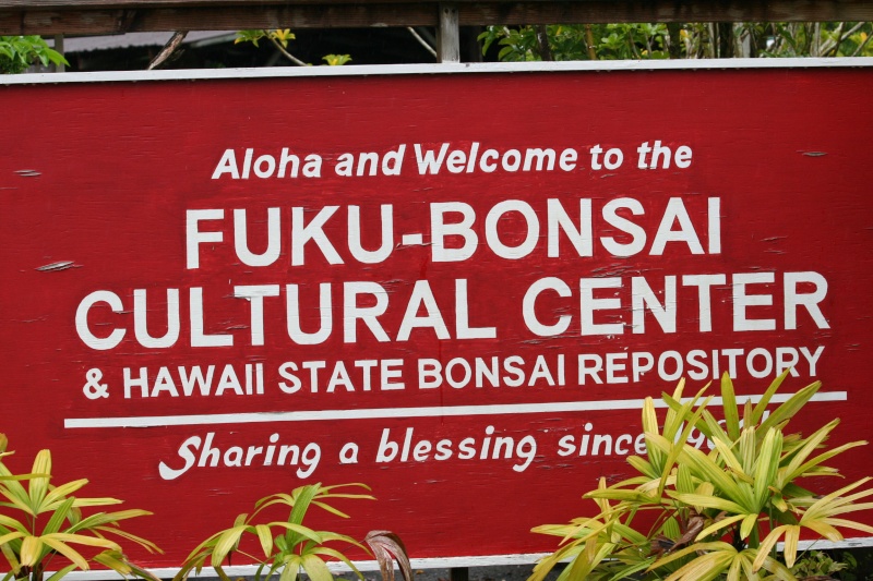Trip to Big Island Hawaii and Fuku Bonsai Img_4910