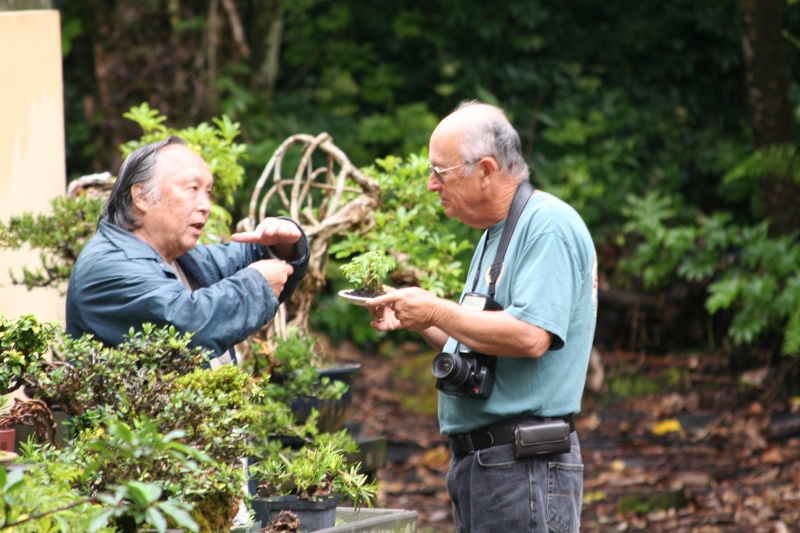 Trip to Big Island Hawaii and Fuku Bonsai Img_4912