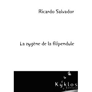 Ricardo SALVADOR ( France ) 31b9w710