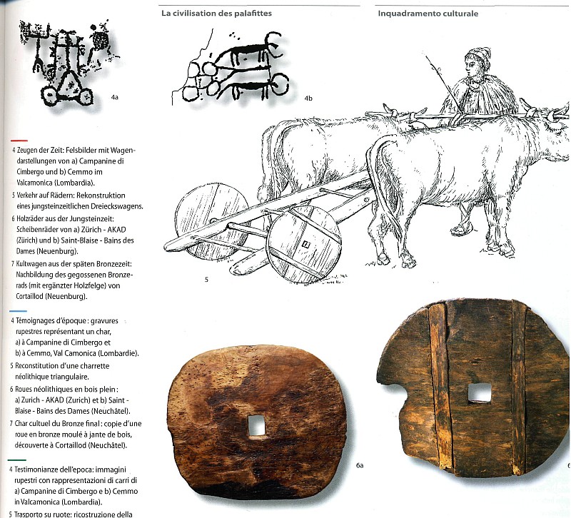 chariot néolithique Chario10