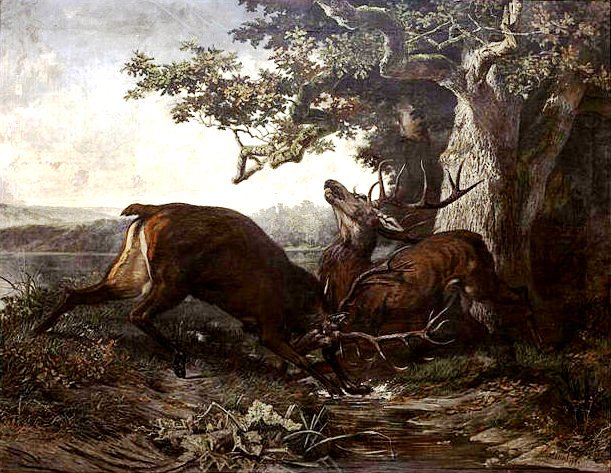 Gustave Courbet et la chasse Combat10
