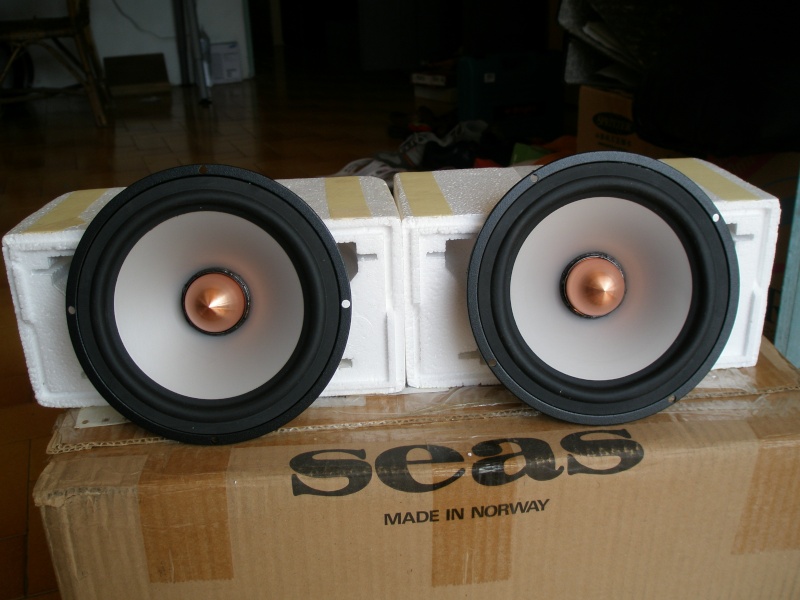 Seas Excel  Midbass Driver (New)SOLD P1010230