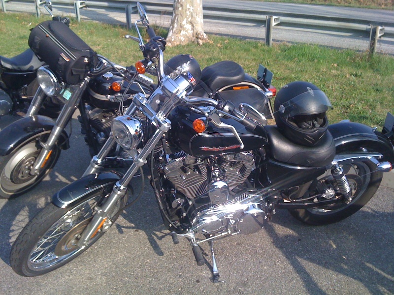 Nouvelle arrivante Sport110