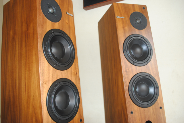 Blaudio floorstand speakers(used)repost Dsc_4221