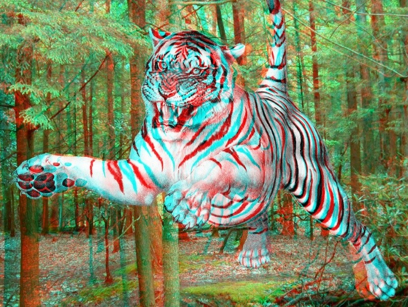 مجموعة رائعة من الصور ال3D  Tiger-10