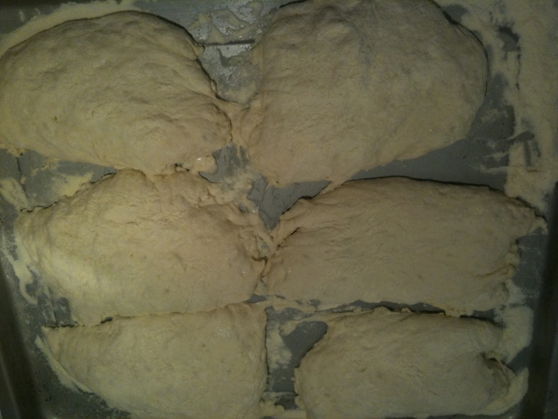 pane arabo 01510