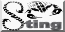Sting SF Logo_b10