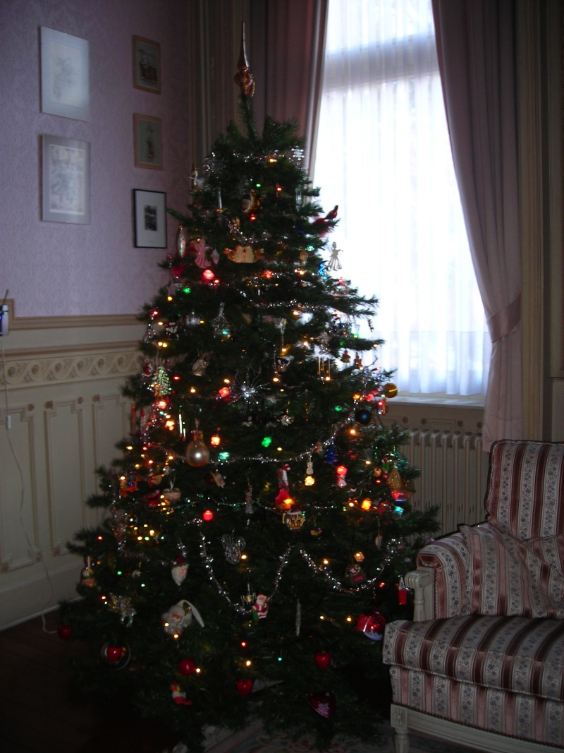 ♦Concours♦ Mon Beau Sapin (Saison 2) => Il est l'heure de voter jusqu'au 24/12/11 23h59 ;) Dscn1110