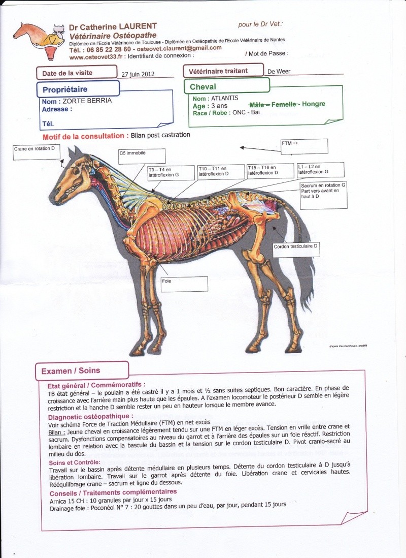 Atlantis poulain double poney hongre, adopté par Véronique ! - Page 6 Titi10