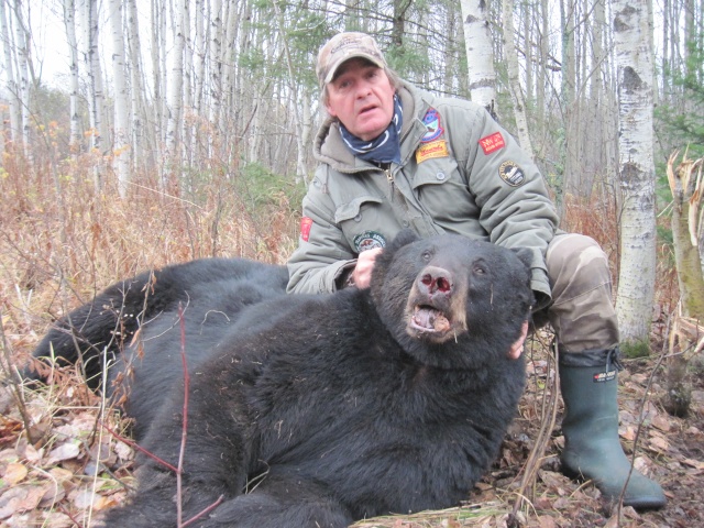 Ours record (???) de 463 livres trappé en Abitibi Himg_110