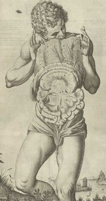 [Cours I-A] L'anatomie - Les Organes Anatom11