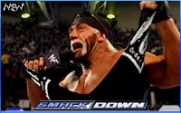 n.W.o. Smackdown - 19 novembre 2012 (Résultats) Hogan210