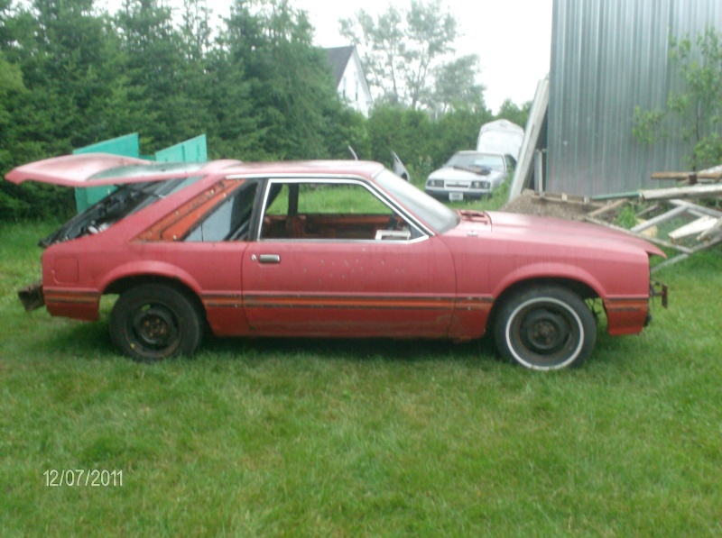 La Mustang 1981 de mon fils Apras_11