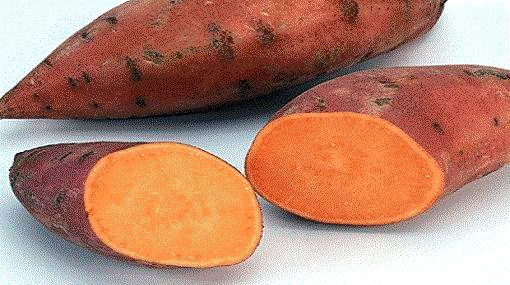 البطاطا ترفع من كفاءة عمل المناعة الطبيعة للإنسان 2012-610