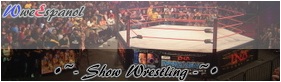 Shows Wrestling