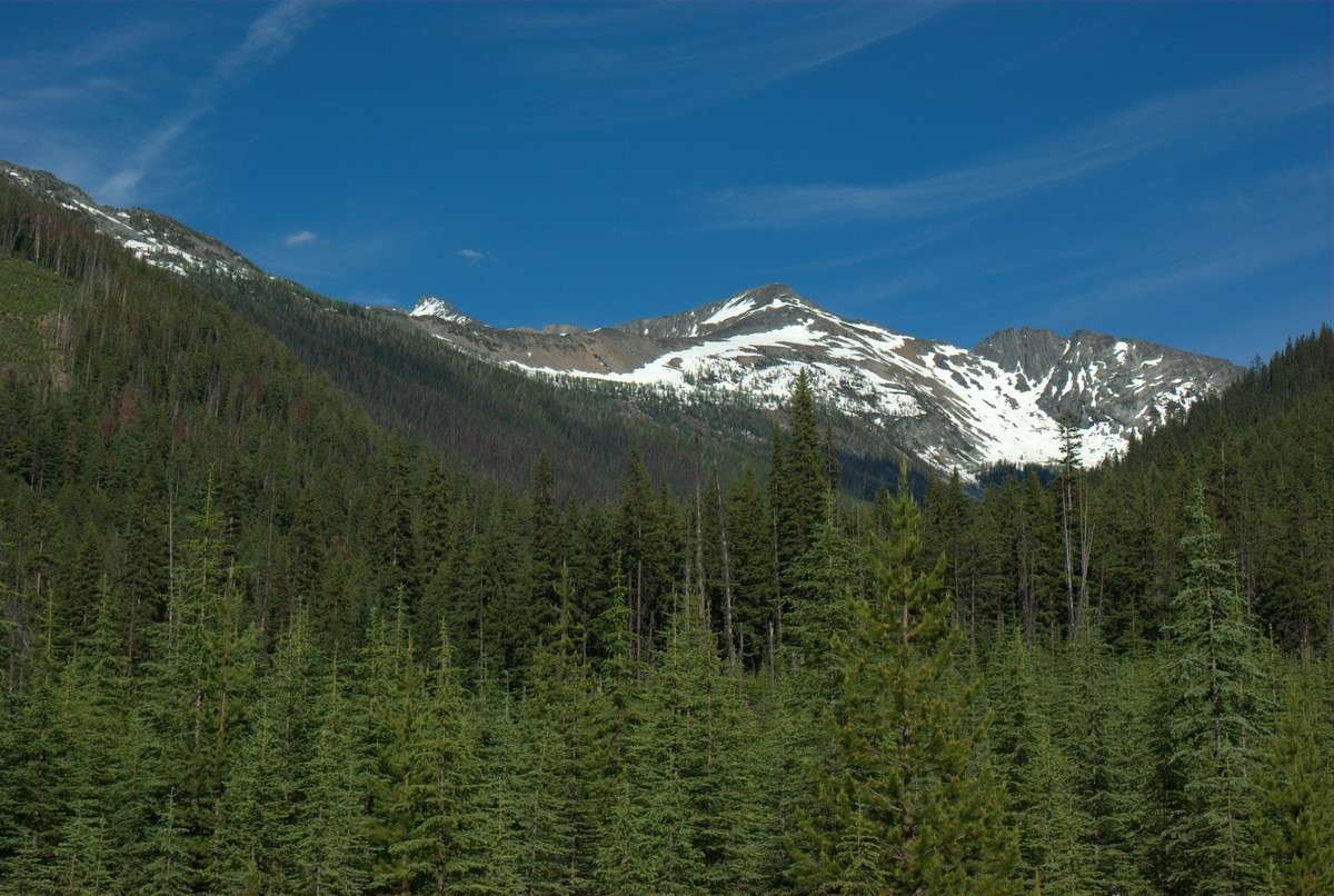 Tired of "Is Gray Creek Pass open yet?" Imgp8031