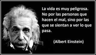 LA VIDA ES MUY PELIGROSA  ***  EINSTEIN Ains10