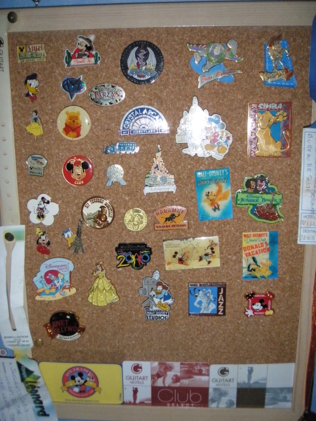 [Collection] Pin Trading - Page 9 Pa040010