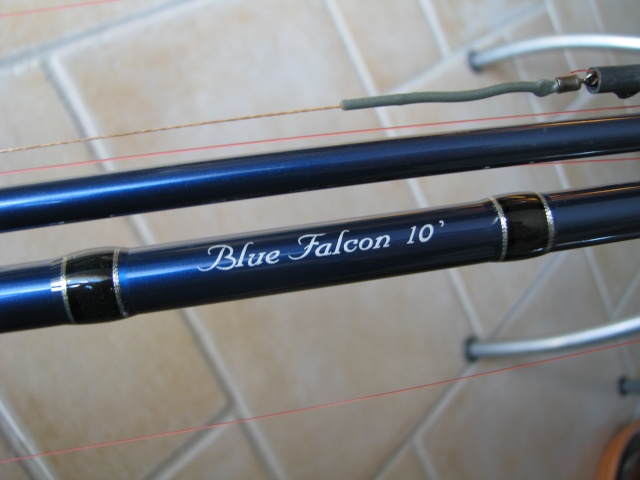Vds 2 Blue Falcon 10 pieds 3Lbs Img_0612
