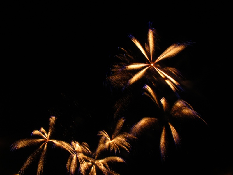 FEU D'ARTIFICE DE BLOIS Img_3020