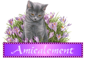 40ème anniversaire "de jonathan" Amical10