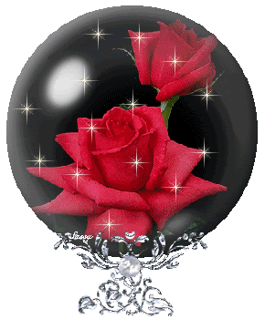 Bonjour à tous Dieu nous bénit en ce 20 Janvier  = Restons  fidèles Roses_20