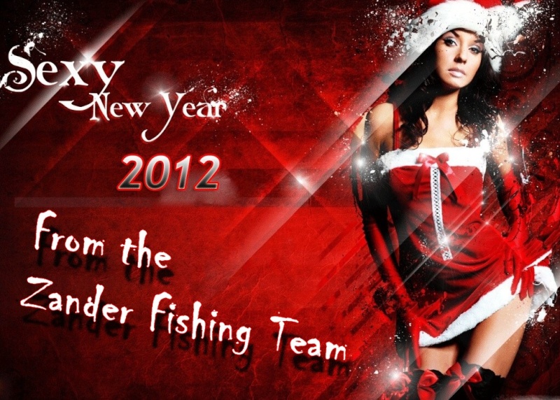 Bonne année  2012_z10