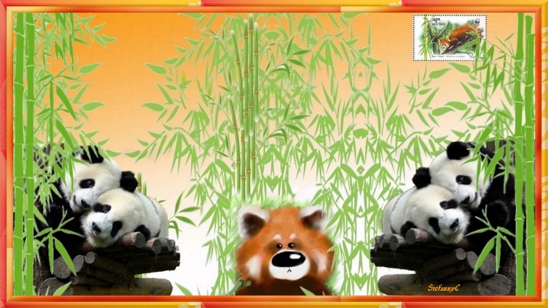 Gagnant concours septembre : "Les pandas" Cra21s11