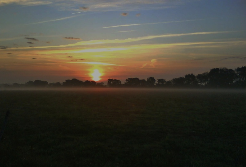 Vers très tôt le matin ... Dsc05415