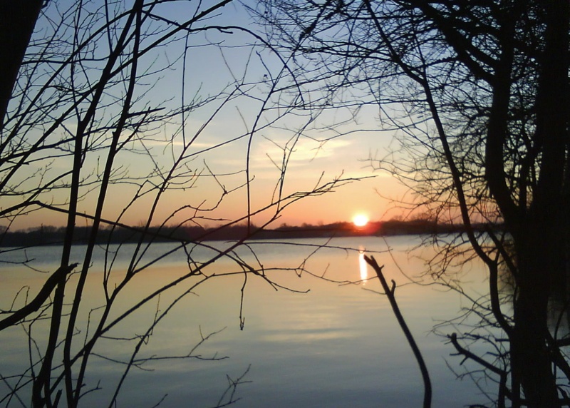 fin de journée sur l'étang... Dsc05910