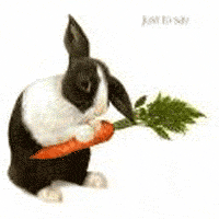 قصة الأرنب والمزارع 516010
