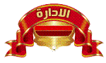 المدير العام المدير العام