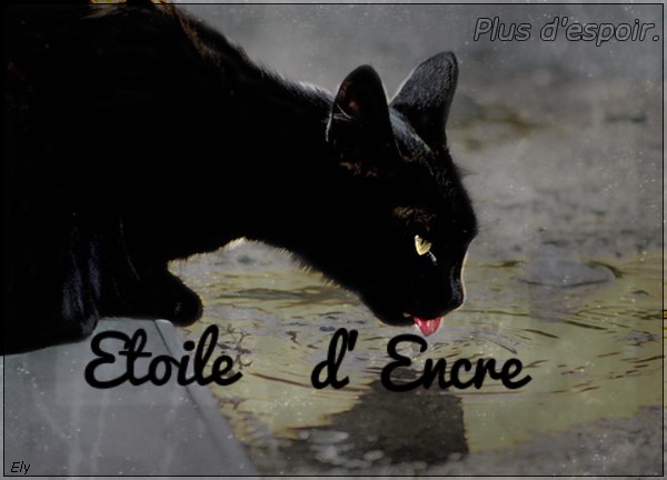 ~ Ely's shop ~ [ OPEN 2/3] Etoile10