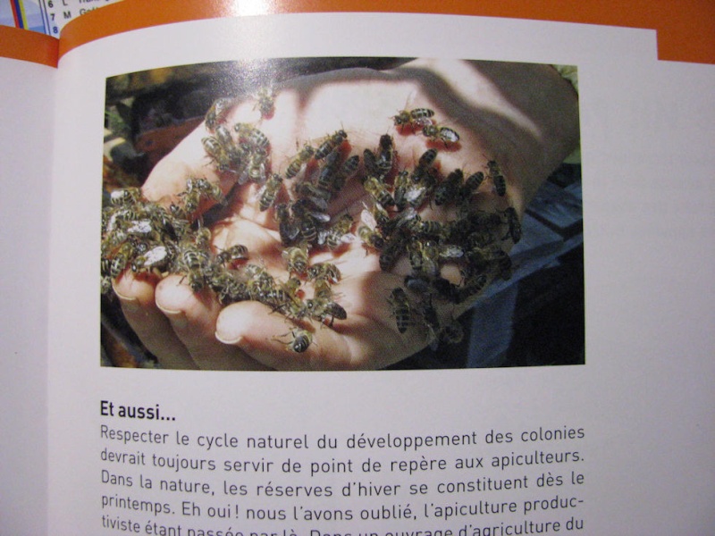 Alain et l'apiculture - Page 3 No_10310